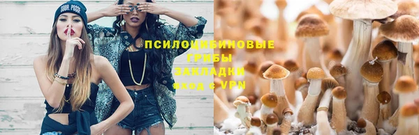 МДПВ Нягань