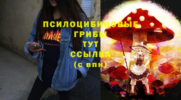 соль ск Нязепетровск