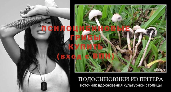 2c-b Няндома