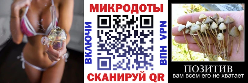 закладки  Горячеводский  Галлюциногенные грибы мицелий 
