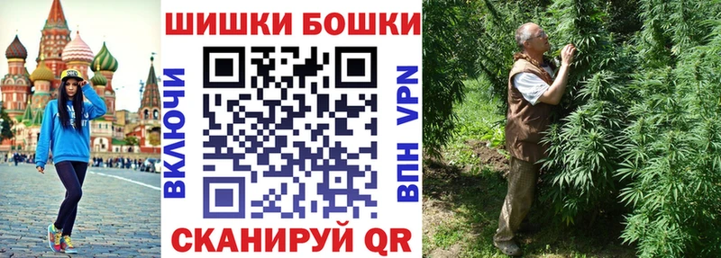Бошки Шишки планчик  Горячеводский 